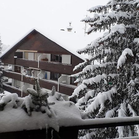 Apartment A'Horn St. Johann in Tirol Exterior foto